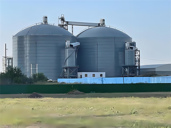 丽水钢板仓建造施工方案详解